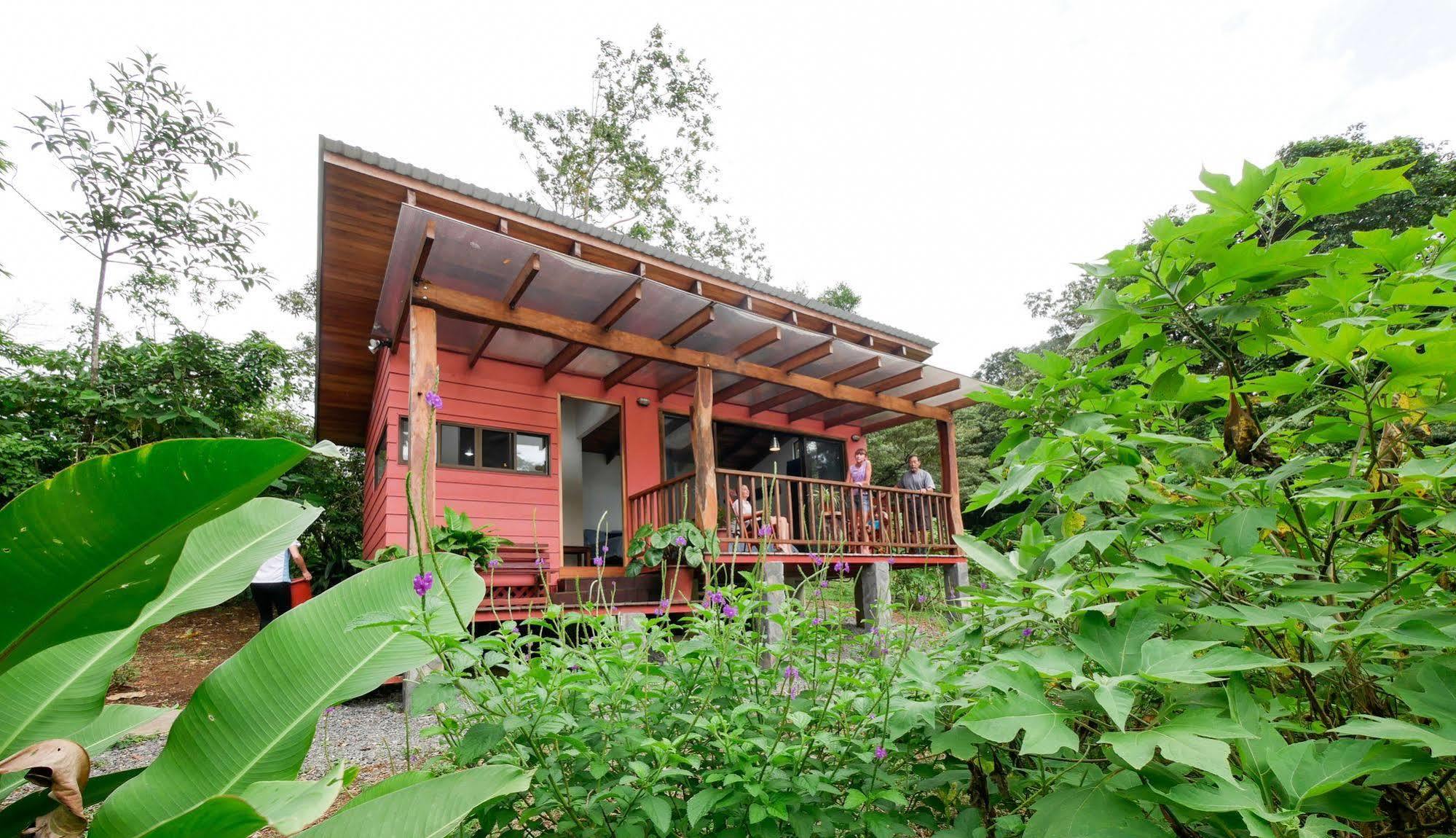 بيجاغوا Casitas Tenorio B&B And Farm المظهر الخارجي الصورة